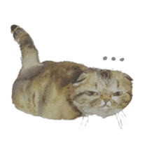 Tiggu Tiggu sticker #1460710