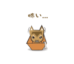 Brave Pudding-Shiba Inu Diary sticker #1461243