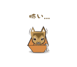 Brave Pudding-Shiba Inu Diary sticker #1461243