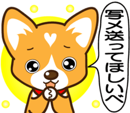 TohokudialectCorgiSakura sticker #1461671