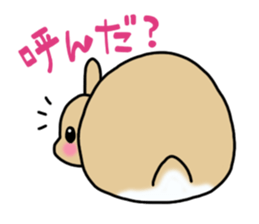 Hana rabbit sticker sticker #1462473