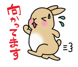 Hana rabbit sticker sticker #1462475