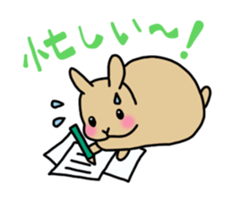 Hana rabbit sticker sticker #1462476