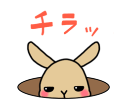 Hana rabbit sticker sticker #1462480