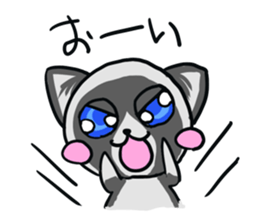 ragdoll sticker #1465147