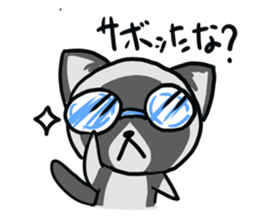 ragdoll sticker #1465154