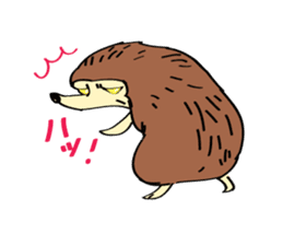 Harry the Pygmy Hedgehog sticker #1468258