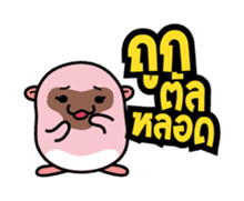 Asavin x Kapi - Eyes on you sticker #1468763