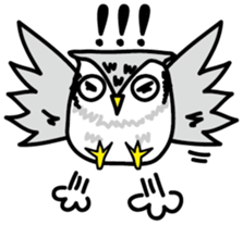 Owl Taro sticker #1468985