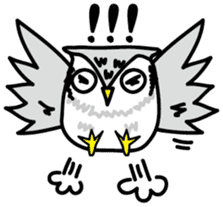Owl Taro sticker #1468985