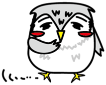 Owl Taro sticker #1468998