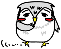 Owl Taro sticker #1468998
