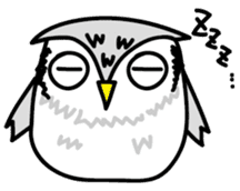 Owl Taro sticker #1469000