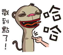 0.5mm Meerkat sticker #1472814