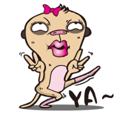 0.5mm Meerkat sticker #1472841
