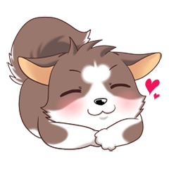 Cocoa Siberian Husky Vol.1