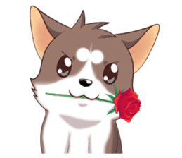 Cocoa Siberian Husky Vol.1 sticker #1473211