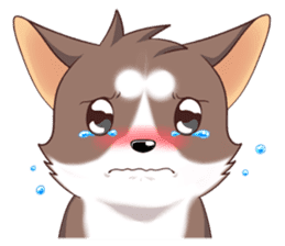 Cocoa Siberian Husky Vol.1 sticker #1473231