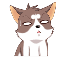 Cocoa Siberian Husky Vol.1 sticker #1473239