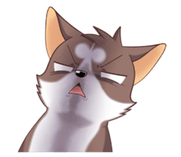 Cocoa Siberian Husky Vol.1 sticker #1473245