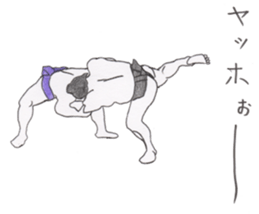 Funny sumo wrestlers sticker #1475185