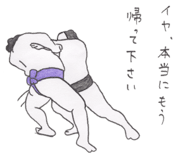 Funny sumo wrestlers sticker #1475211