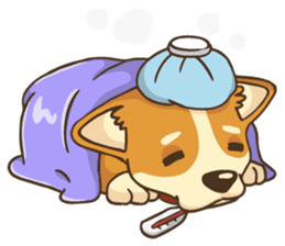 Cute Corgi - Adorable Life sticker #1475504