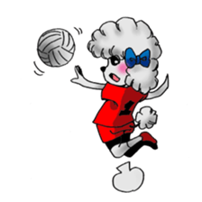 toy poodle(Mr. pet dog Leo of my home) sticker #1476784