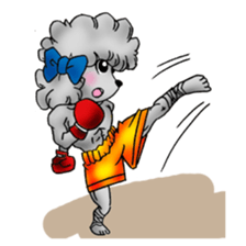 toy poodle(Mr. pet dog Leo of my home) sticker #1476786