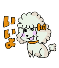 toy poodle(Mr. pet dog Leo of my home) sticker #1476788