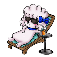 toy poodle(Mr. pet dog Leo of my home) sticker #1476789