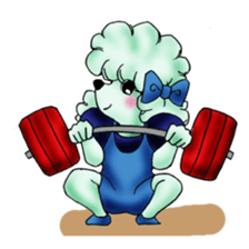 toy poodle(Mr. pet dog Leo of my home) sticker #1476792