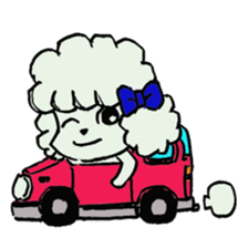 toy poodle(Mr. pet dog Leo of my home) sticker #1476795