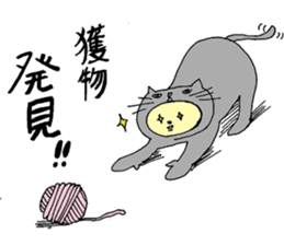 Cat bear sticker #1479264