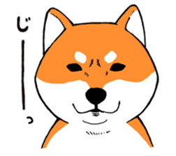 ShibaShiba sticker #1479640