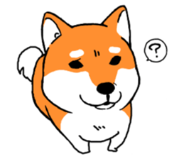 ShibaShiba sticker #1479642