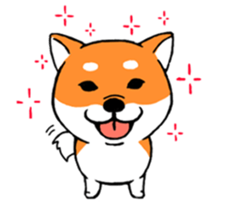 ShibaShiba sticker #1479644