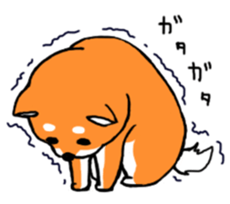 ShibaShiba sticker #1479645