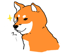ShibaShiba sticker #1479647