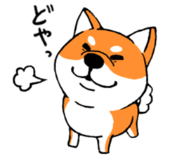 ShibaShiba sticker #1479649