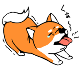 ShibaShiba sticker #1479650