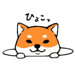 ShibaShiba sticker #1479652