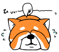 ShibaShiba sticker #1479653