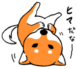 ShibaShiba sticker #1479655