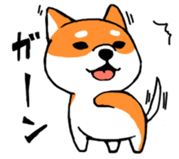 ShibaShiba sticker #1479661
