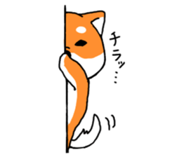 ShibaShiba sticker #1479663