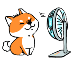 ShibaShiba sticker #1479665