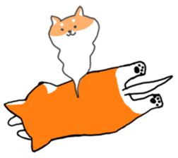 ShibaShiba sticker #1479666