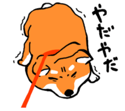 ShibaShiba sticker #1479668