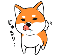 ShibaShiba sticker #1479671